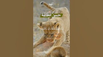 تلاوة خاشعة عطرة مباركة جميلة عذبة للشيخ سعد الغامدي ماتيسر من سورة الجاثية