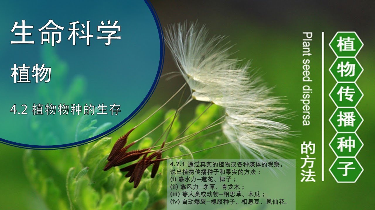 五年级 植物传播种子的方法 - YouTube