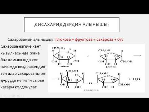 Video: Мышыктардын тамак-ашындагы углеводдордун деңгээлин эсептөө - математика керек