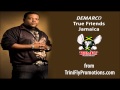 Demarco True Friends mp3