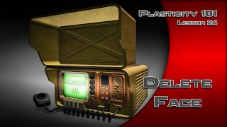 Famous 26 PLASTICITY 101 DELETE FACE Net Worth