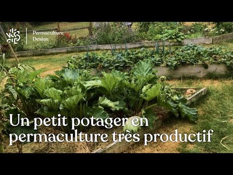 Vidéo: Jardin potager allemand – En savoir plus sur les légumes allemands populaires