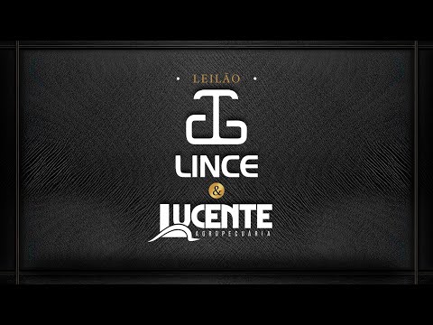 LOTE 16   MAIKA FIV LINCE   GART 1911 zap