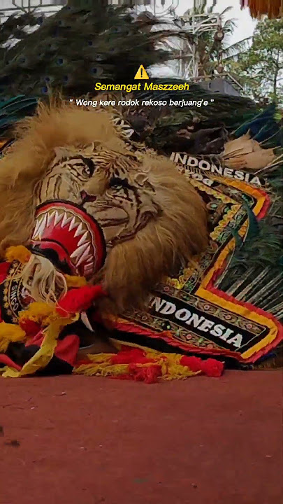 Panggah tetep Semangat Mazzeh!!!Story' wa reog Ponorogo terbaru 2023!!!Singo Jayengrono