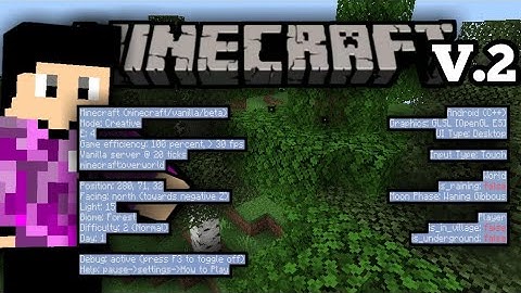 Download F3 Debug Screen Addon for MCPE/BE 1.16+ (V.2)