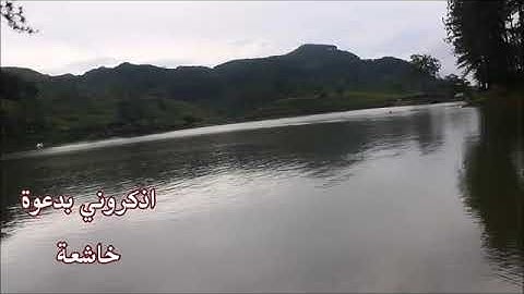 سورة الزلزلة بصوت خاشع