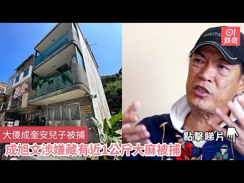 大傻成奎安兒子被捕 成旭文涉嫌藏有近1公斤大麻被捕｜01娛樂｜成奎安｜成旭文｜大傻