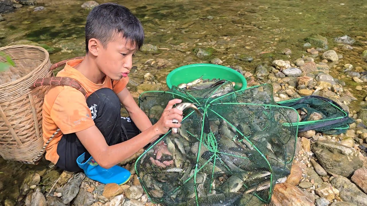 trap fishTechniques of stacking rocks to block streams, placing fish traps, harvesting fish for sale