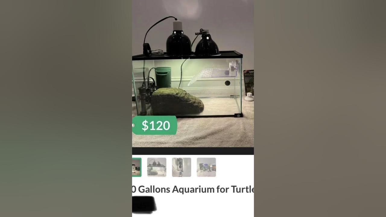 worst-reptile-enclosures-of-reddit-2-youtube