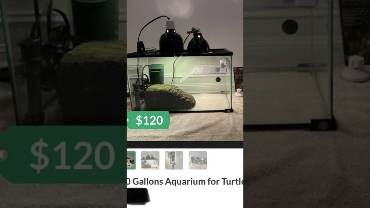 Worst Reptile Enclosures Of Reddit 2 YouTube Worst Reptile Enclosures Of Reddit 2 YouTube