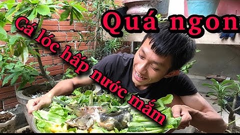 Món ngon dễ làm ....... cá lóc hấp nước mắm