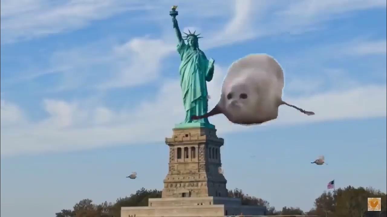 Bouncing Seals Ultimate 2 YouTube