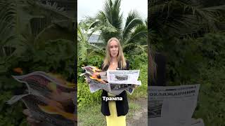 Инвестируйте вместе с нами — потому что стабильность важнее шума рынка.