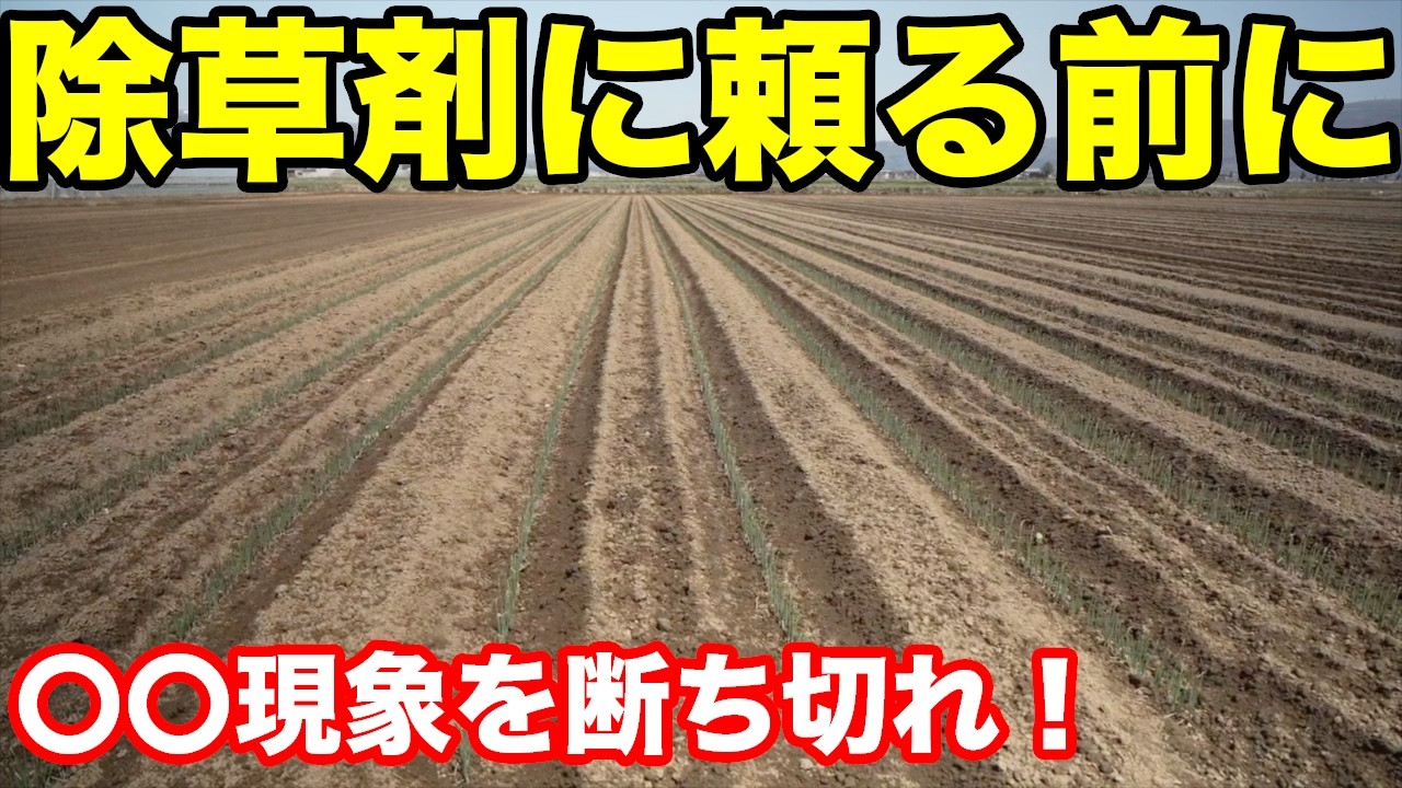 【除草剤を使うその前に】草の芽吹きを抑える為に「〇〇現象を断ち切る」事を覚えよう！