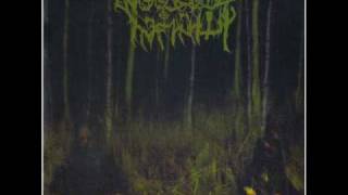 Woods of Infinity - Brutalt Mord (Lyrics)