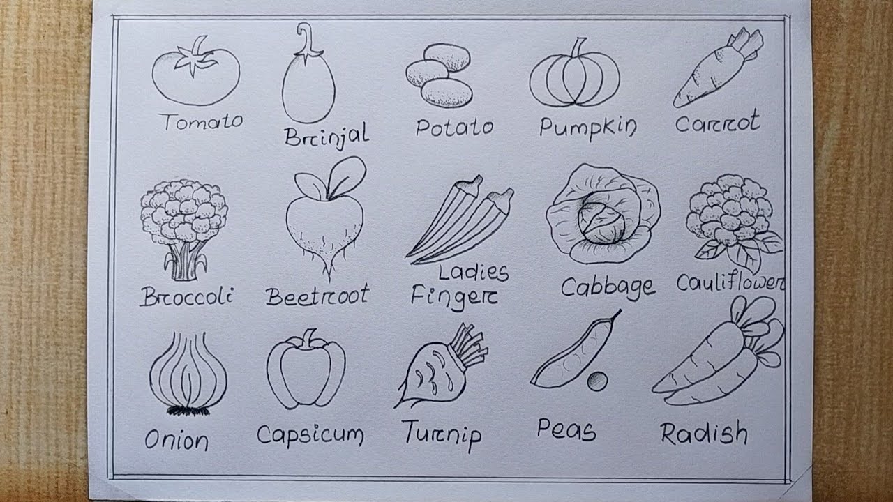 Top more than 142 sketch vegetables drawing