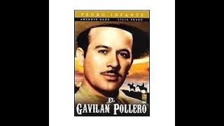 El Gavilán Pollero - Pedro Infante