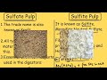 Sulfate Pulp Vs Sulfite Pulp | Comparison of Chemical Pulping process for Cellulose Fibers |
