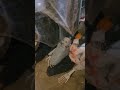 HAUNT UPDATE 3
