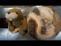 Woodturning Live - Oak Burl Bowl - 500 Subscriber Prize