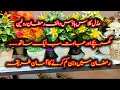 Ramzan Mein Wazan Kam Karne Ka Asaan Tareeqa 🌙 | Sehri Se Iftar Tak Healthy Routine