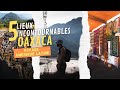 5 ces endroits  voir absolument dans ltat de oaxaca au mexique