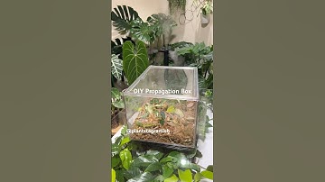 DIY Propagation Box - Links in bio - #plants #houseplants #explore #propagation #diy