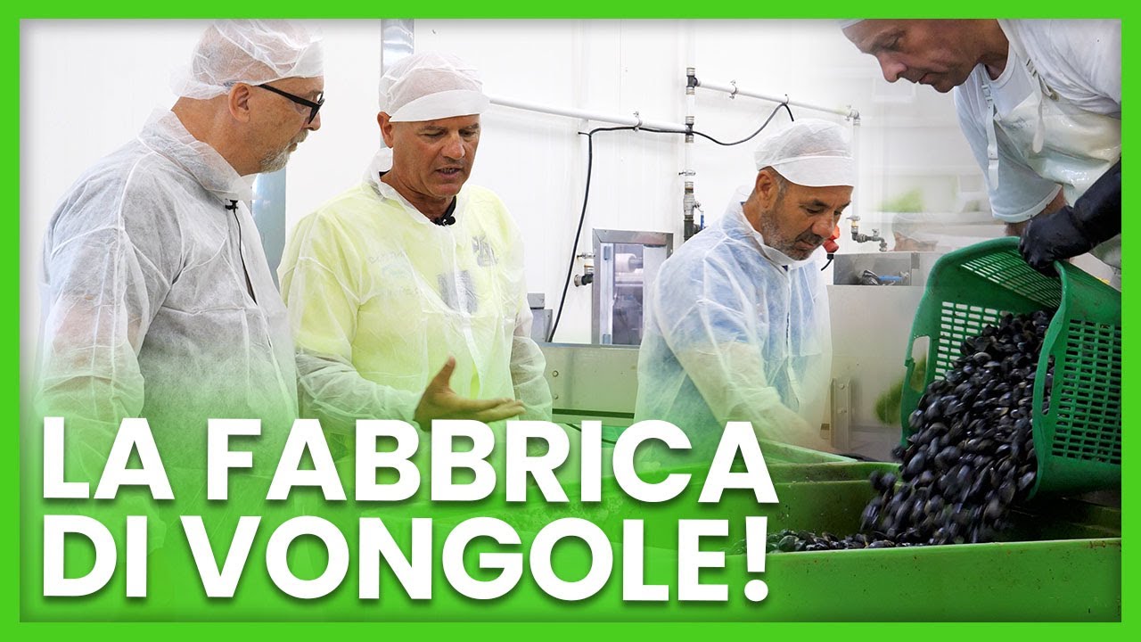 LA LAVORAZIONE DELLE VONGOLE - Goro Pesca e Italia Nutrizione.