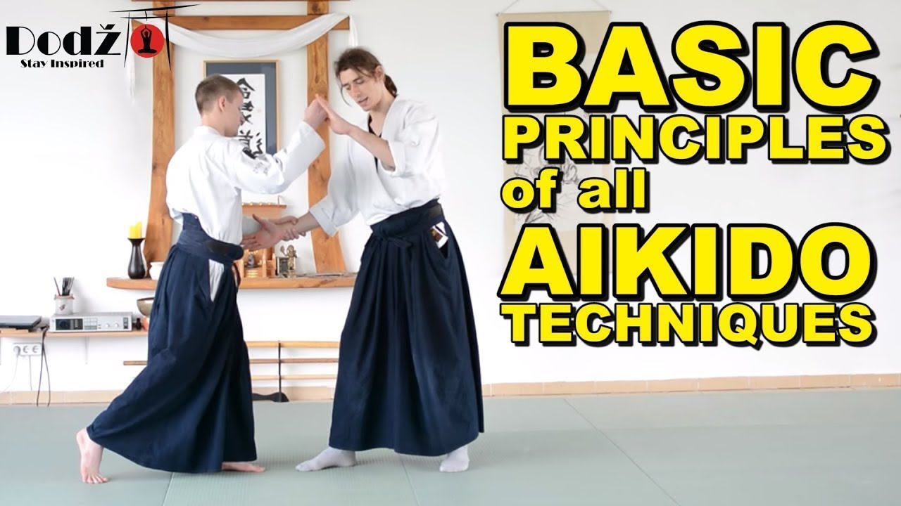 How To Learn Aikido Fast