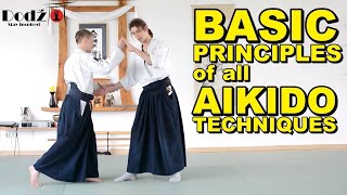 Aikido Principles You MUST Know screenshot 2