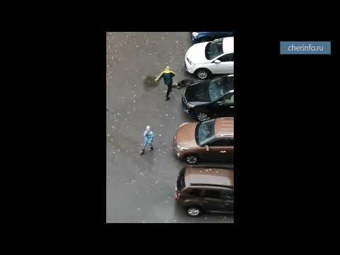 Трагедия с собакой на Первомайской