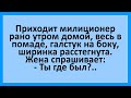 Гулящий милиционер и острая на язык теща. Сборник смешных анекдотов! Юмор!