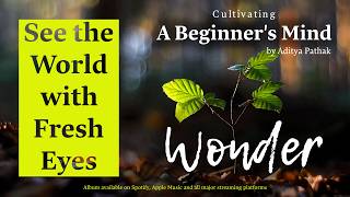 A Beginner’s Mind: Returning to Wonder | Guided Meditation for Wonder & Curiosity | Teachers' Day