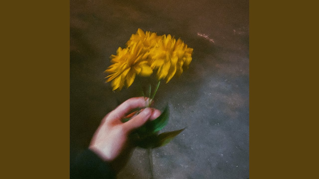 Слушать песню я подарю тебе цветы. Я иду тебе навстречу и несу тебе цветы.