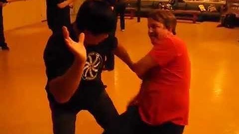 Fighting Arts - Yin Style Bagua - Chopping Attacks