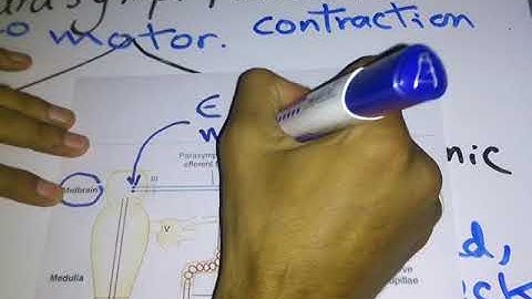 Parasympathetic Functions dr mohamed fayez