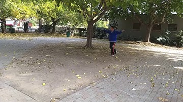 Bagua Master system for beginners