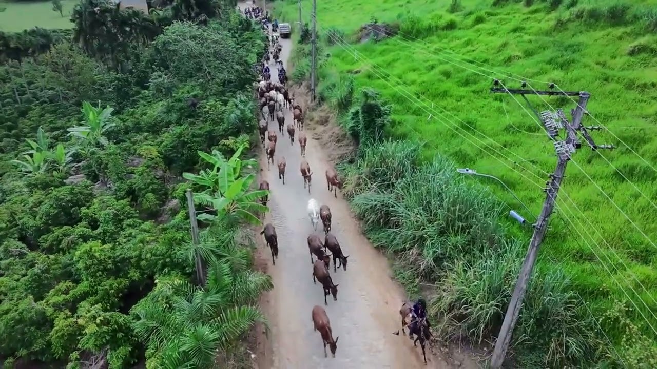 Chegada da Comitiva Muares no Estradão no Distrito de Burarama - ES -
