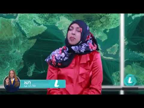 Dr Ilili Jemal Interview With Bethelhem Tafesse LTV WORLD LTV SHOW Open Internet And Phone Becau