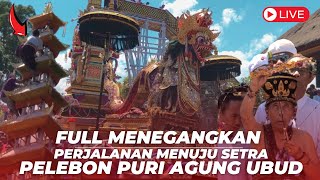 UBUD BERGETAR❗️ PUNCAK PELEBON PURI AGUNG UBUD II IDA TJOKORDA BAGUS SANTAKA