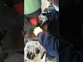 Brake In Brake Pads