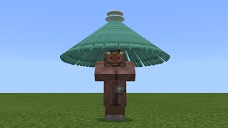 kung fu villager