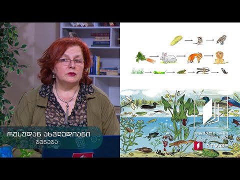 ბუნება, V კლასი - კვებითი ჯაჭვები #ტელესკოლა