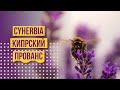 Путешествия по Кипру. Ботанический парк CYHERBIA.