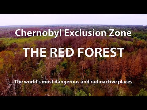 Video: Černobyľské pohrebiská: rádioaktívny odpad z uzavretej zóny