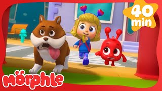 Morphle  - Barky Walkies | Learning Videos For Kids | Education Show For Toddlers