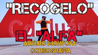 "Recógelo" el Alfa COREOGRAFIA [Arturo Montoya "SACROS"]