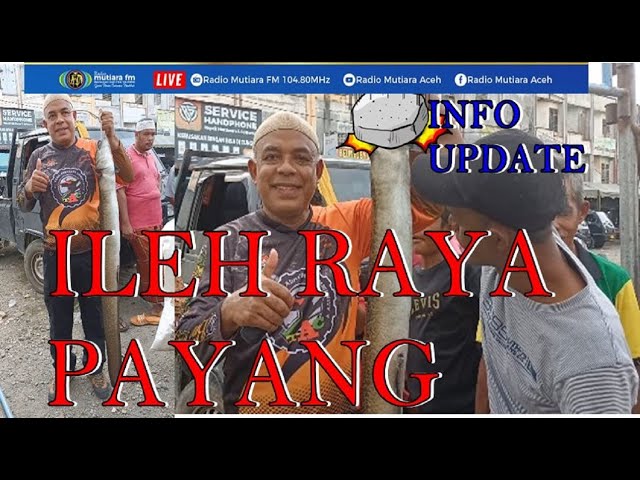 VIRAL ILEH RAYA PANYANG {BELUT BESAR PANJANG } class=