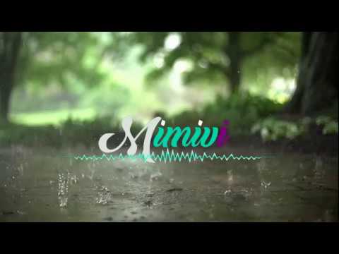 Budi Doremi - Dia ( Lyrics )