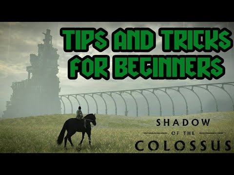 Vídeo: Tutorial, Guía Y Consejos De Shadow Of The Colossus En PS4